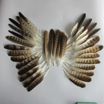 50pcs (1 komplektas) retas baltasis erelis Uodegos plunksnos ilgis 15-33cm/6-14inch 